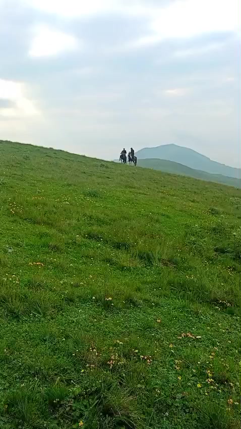 @Վաչե Գևորգյան