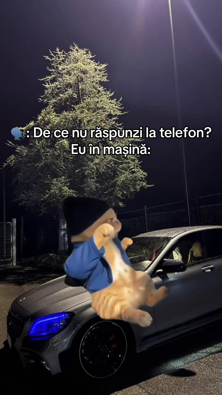 @Gabriela Gavriliu