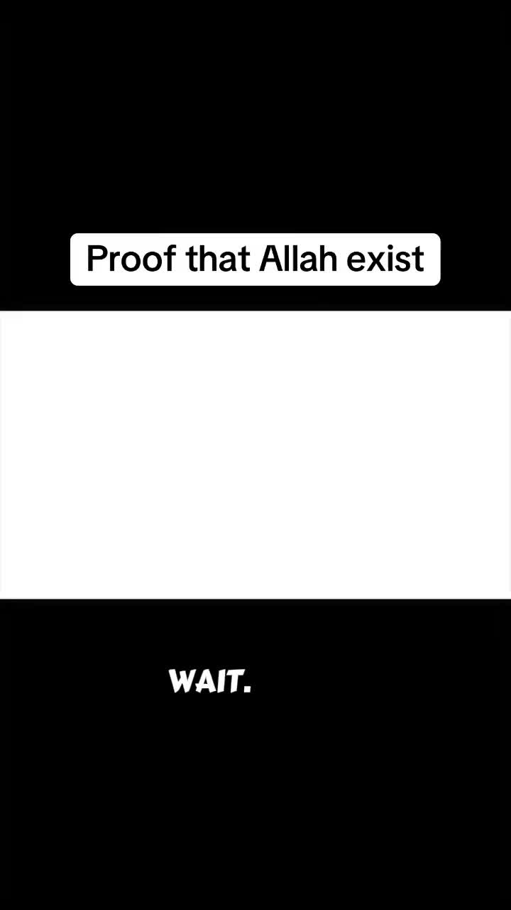 @halaltalks1