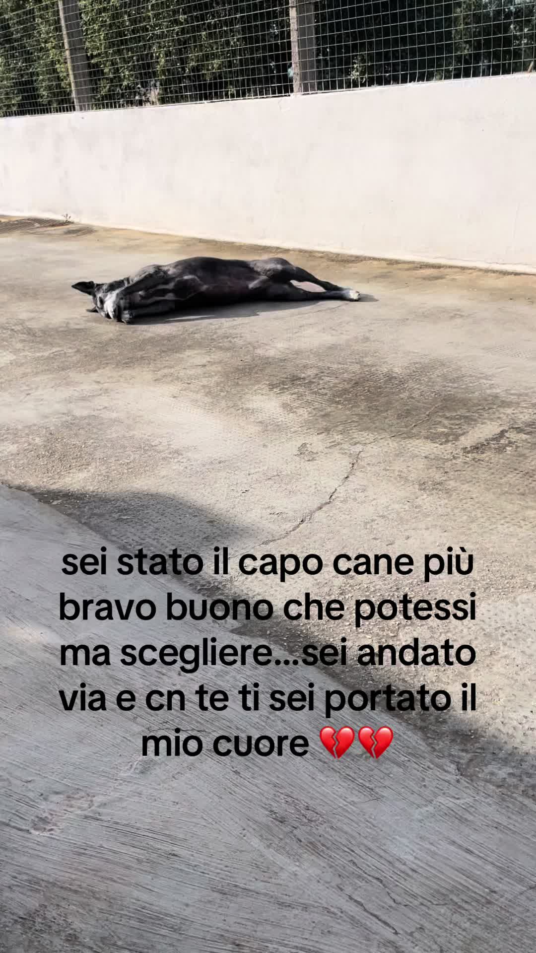 @Miriam Trisciuzzi