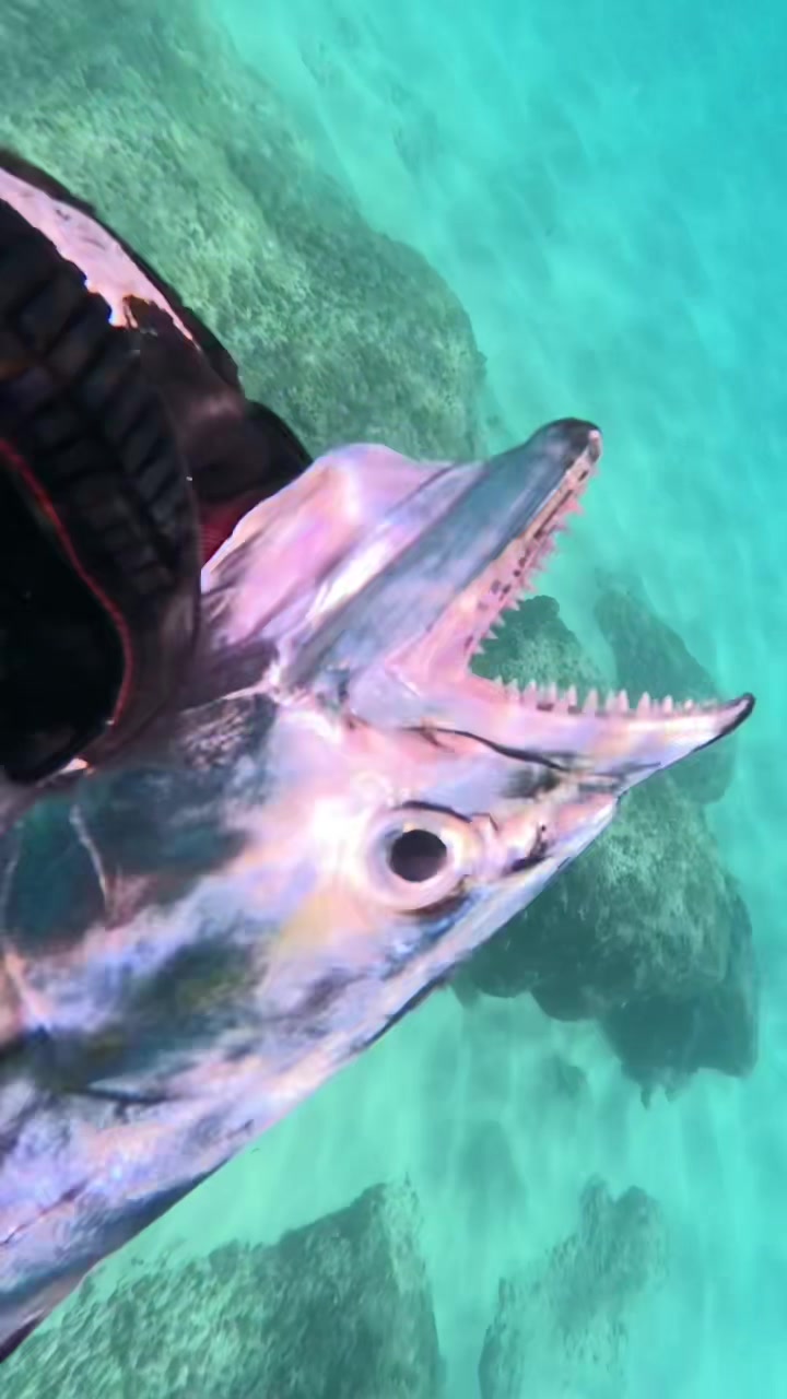 @Chill Diving