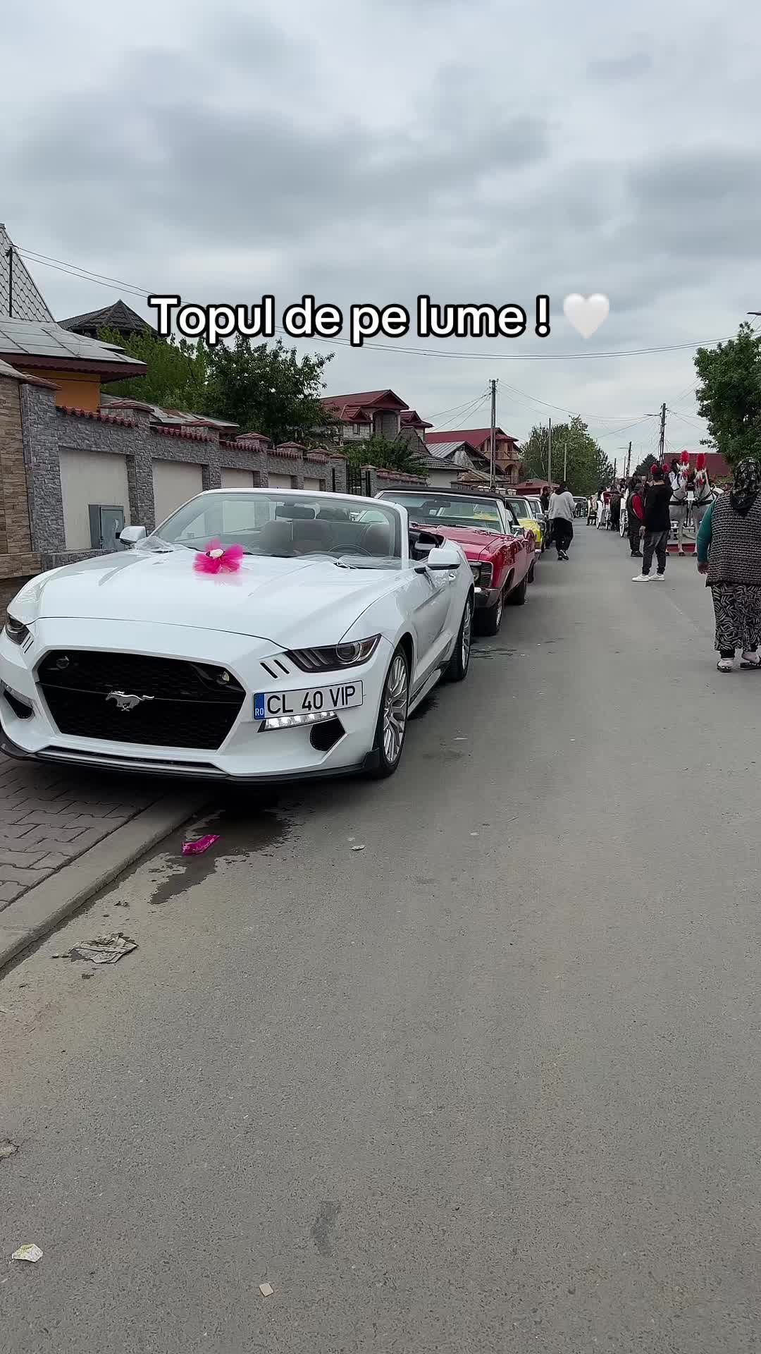 @Roberto Căruță