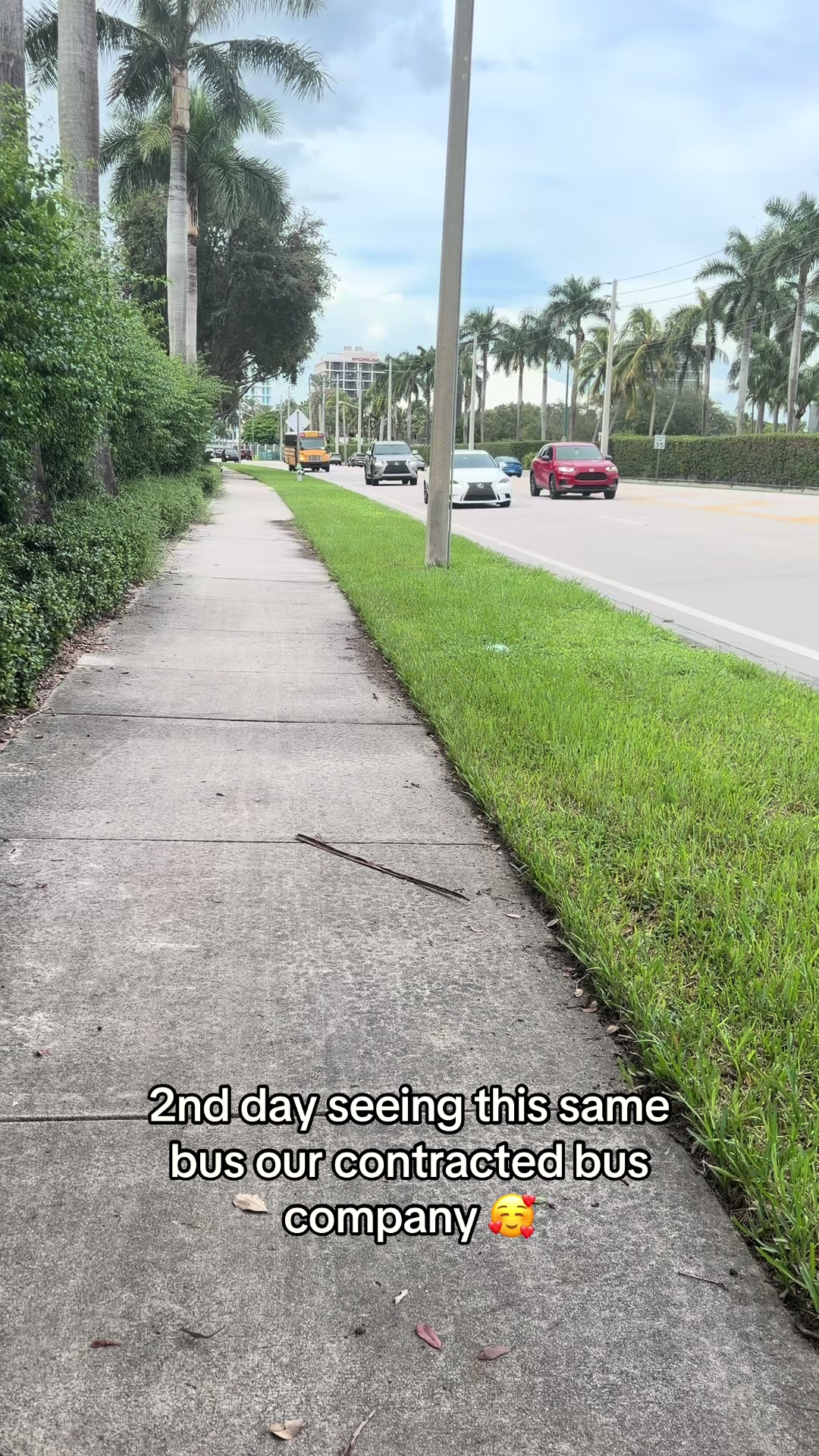 @palmbeachtransportation