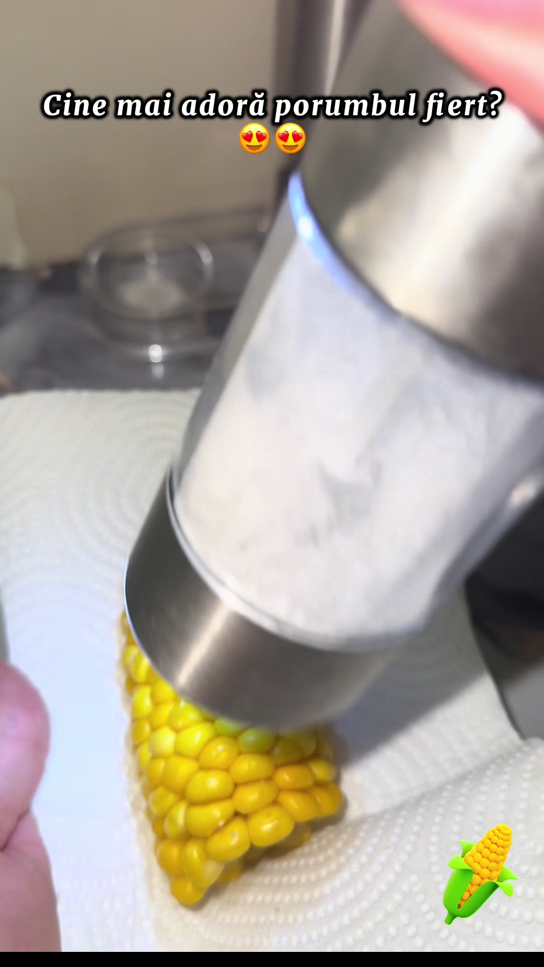 @bucatariaelizei