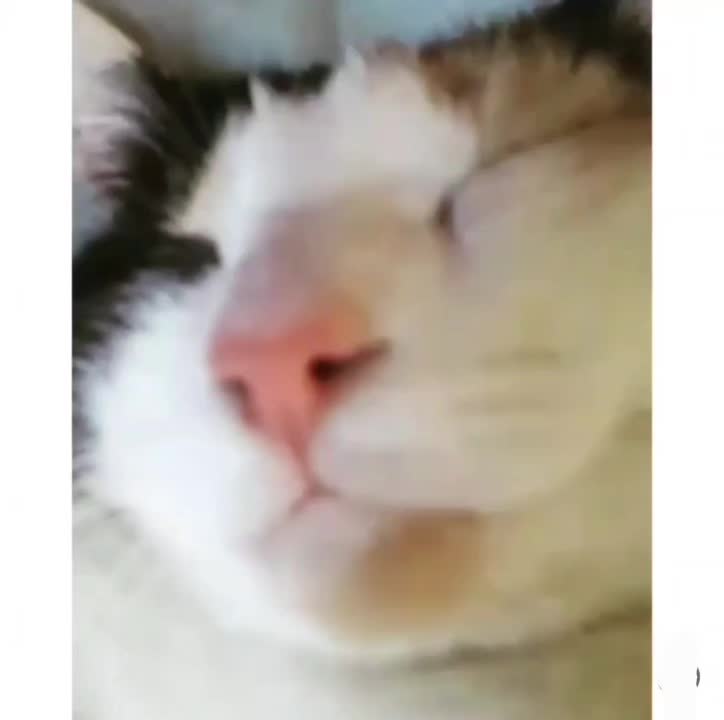 @RAY