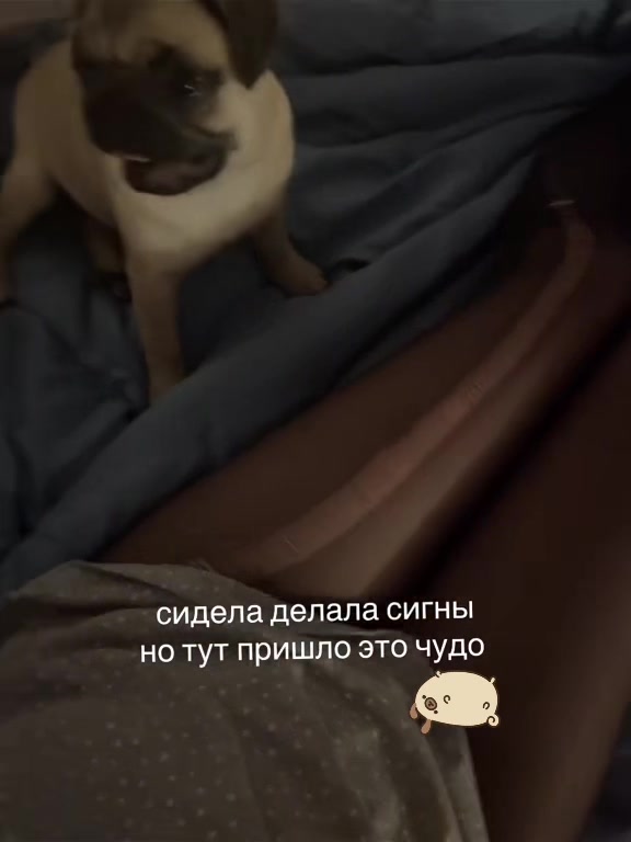 @сонiя сигнушка