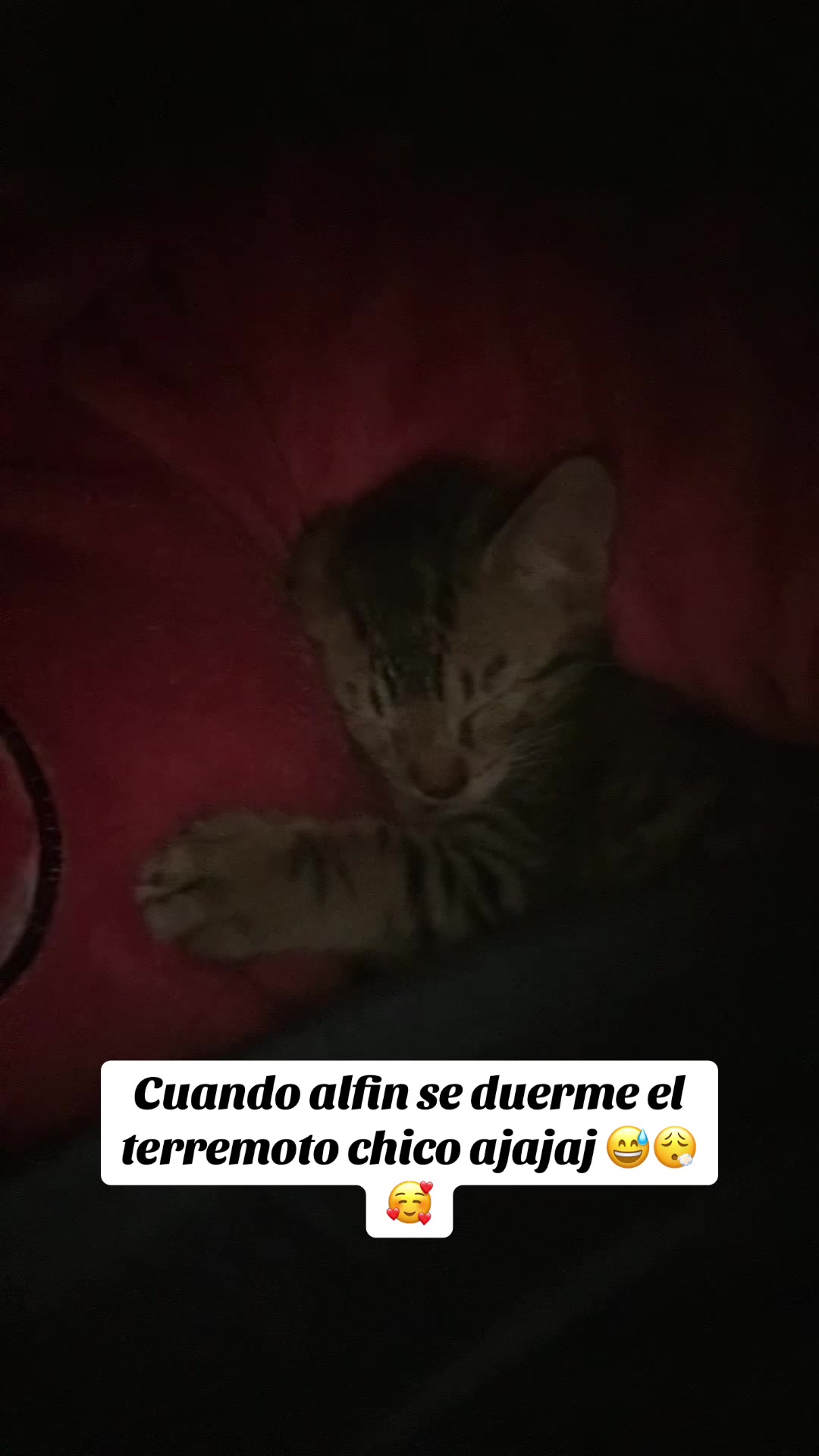 @piajaviera._