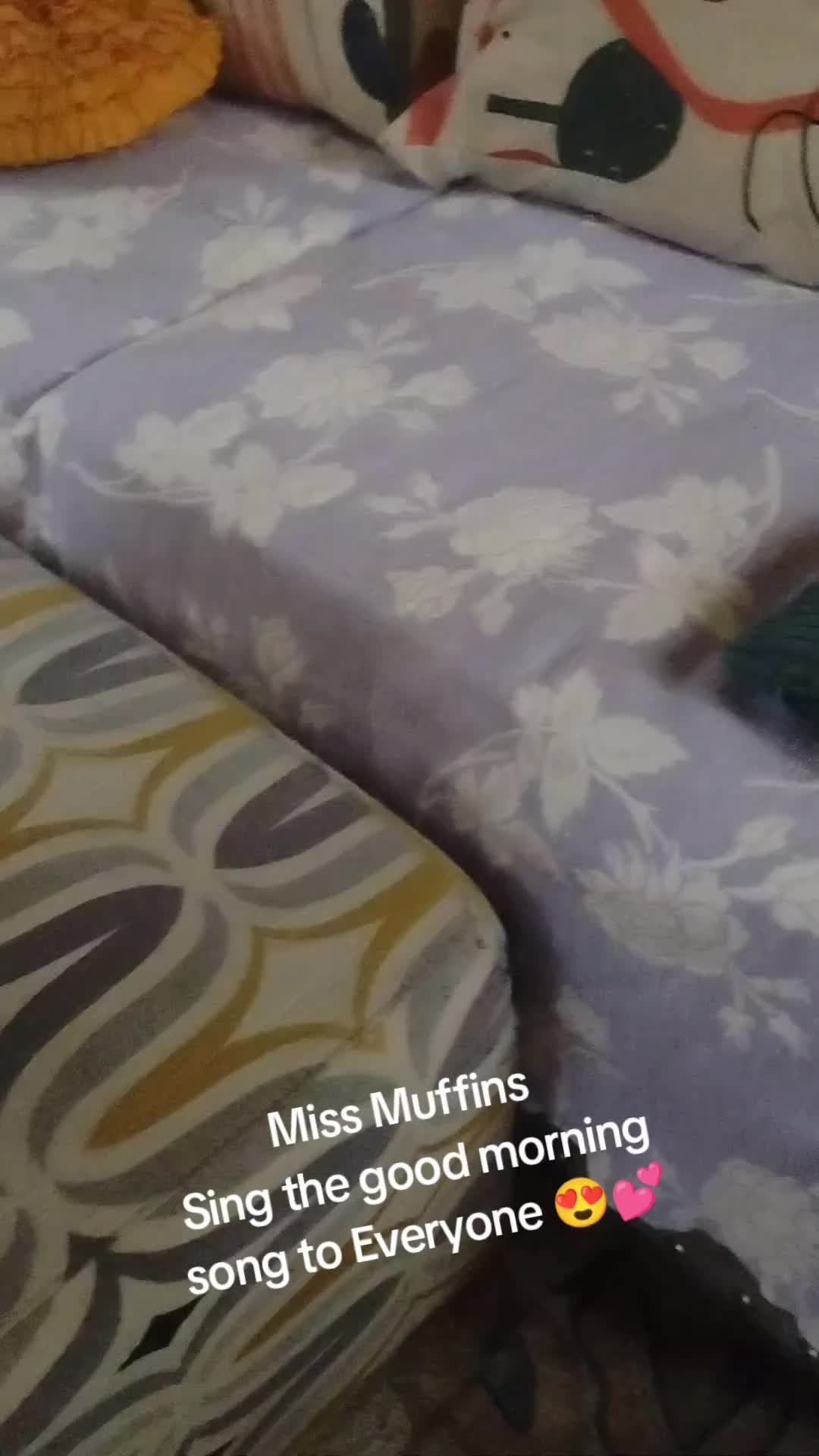 @The Coco/Butter/Muffins Show