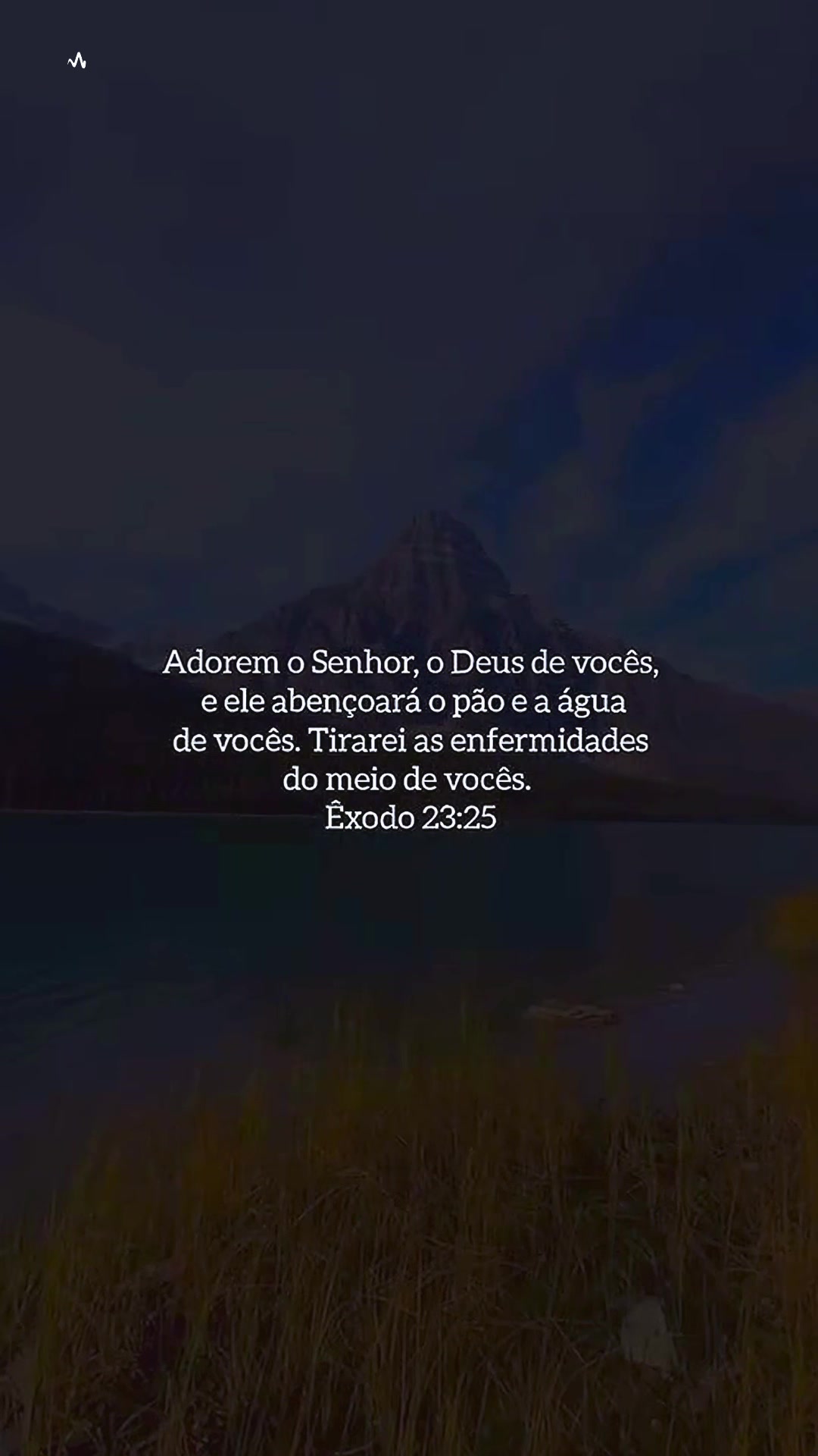 @Reeh Alves