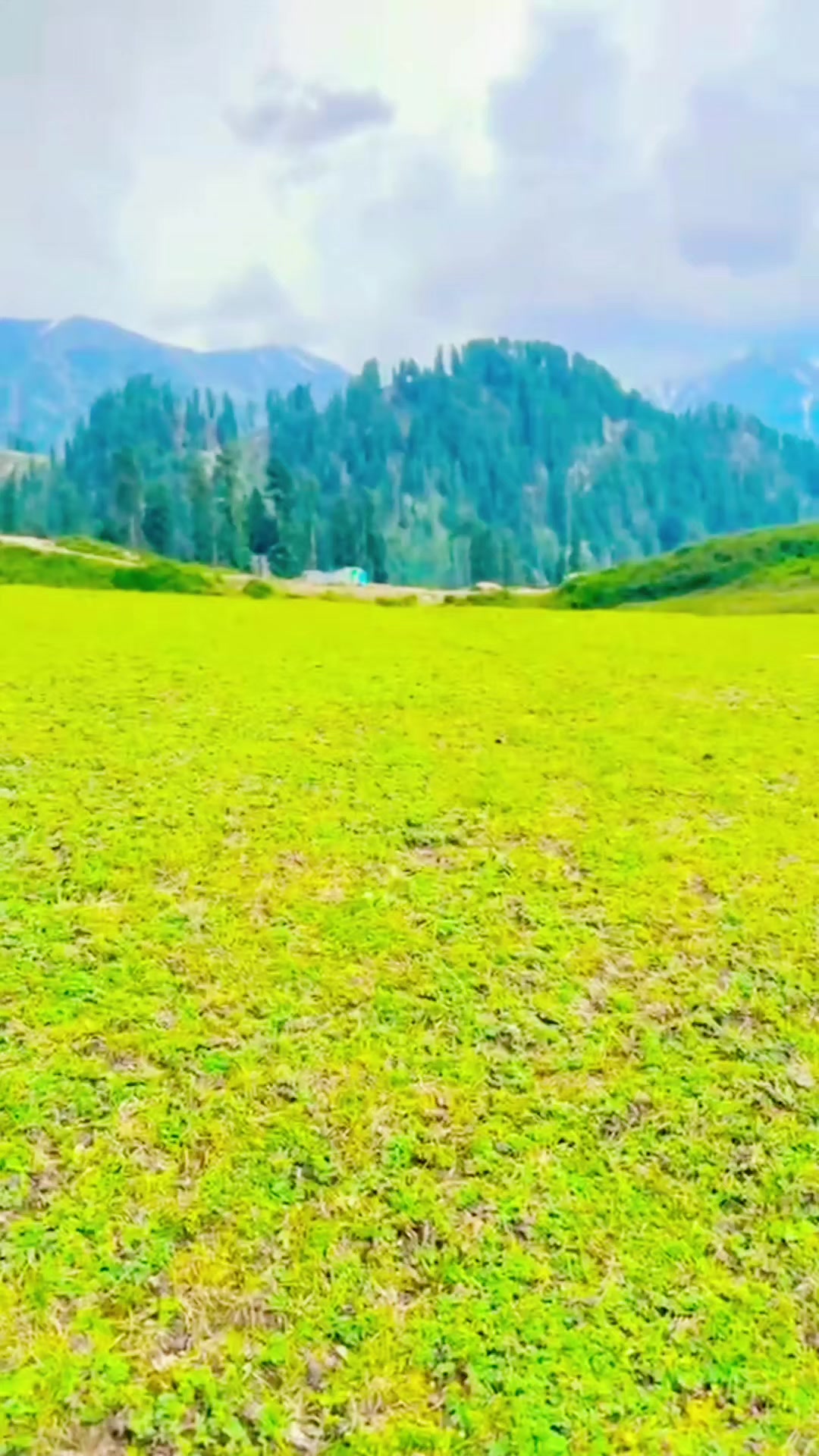 @Saad Khan