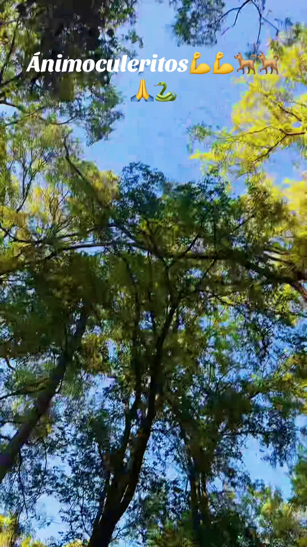 @🍀💲🧿THELONELYWOLF🧿💲🍀