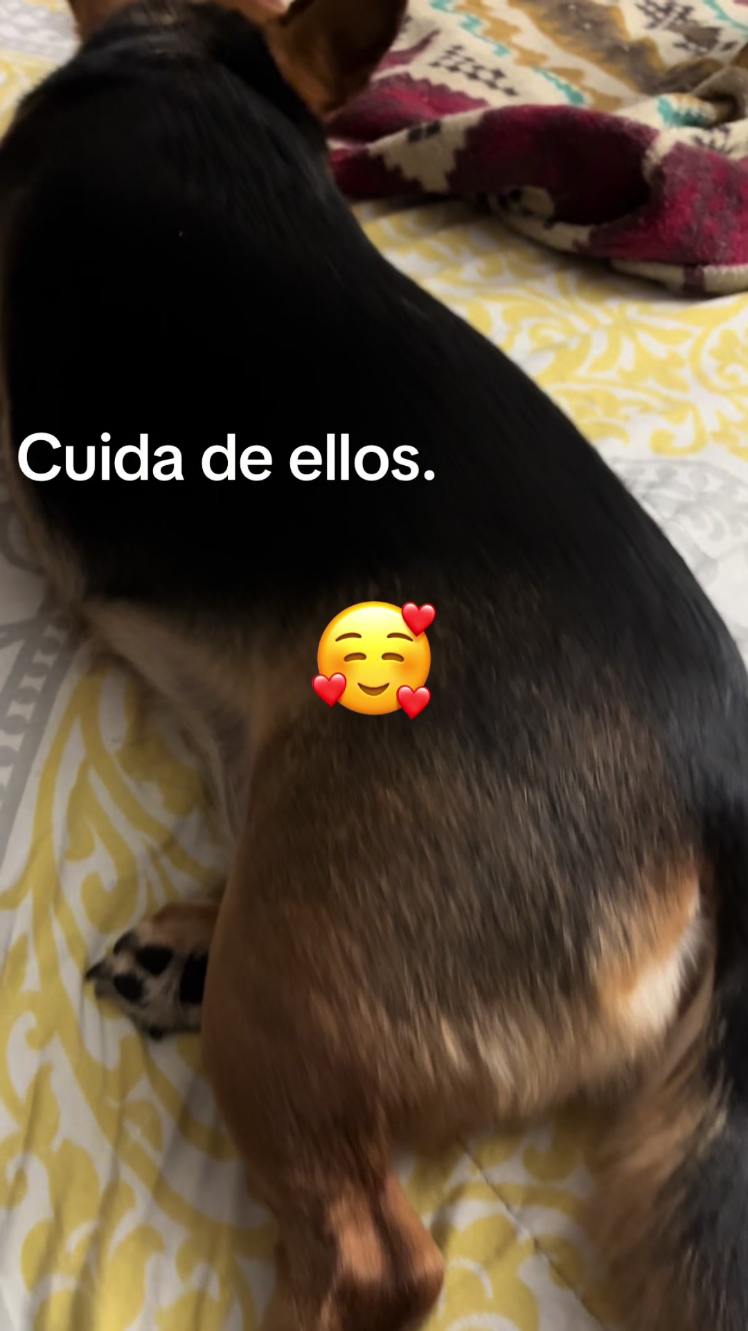 @Elis Isabel Del Rosa