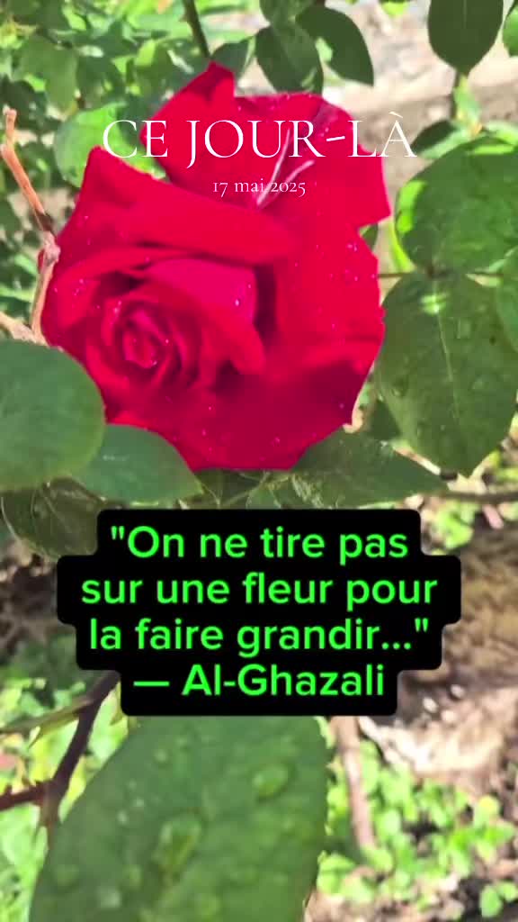 @gurushgk