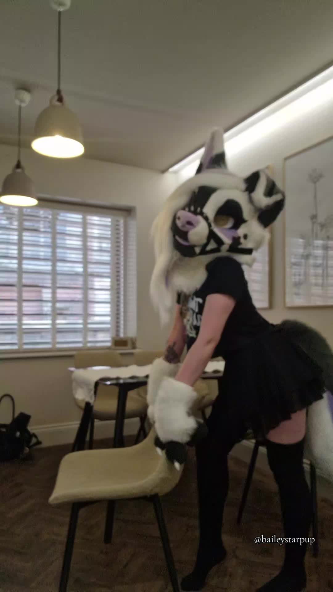 @Bailey (lilpixiekitten)