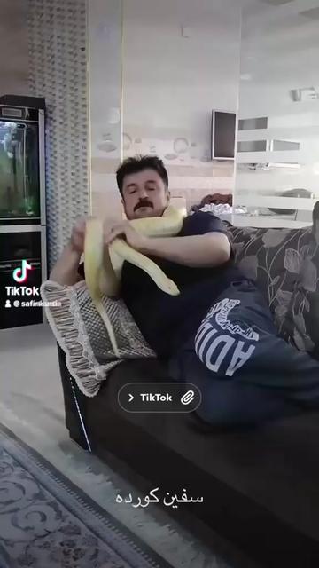 @Safin Kurda