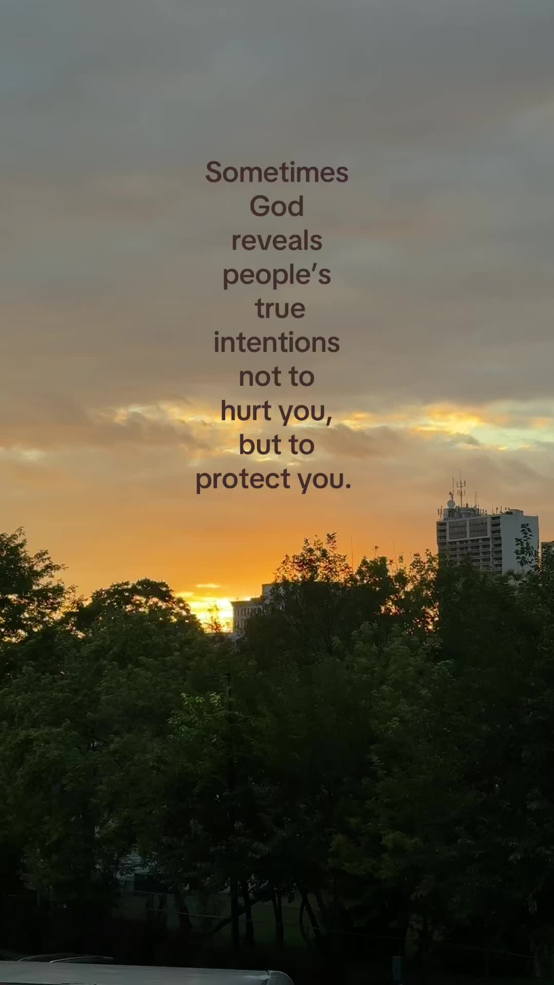 @ℒ ᥫ᭡