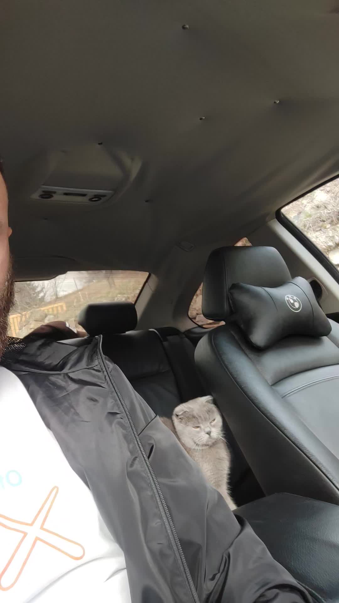 @Мехмед Льотин