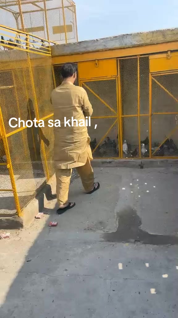 @Adilbutt