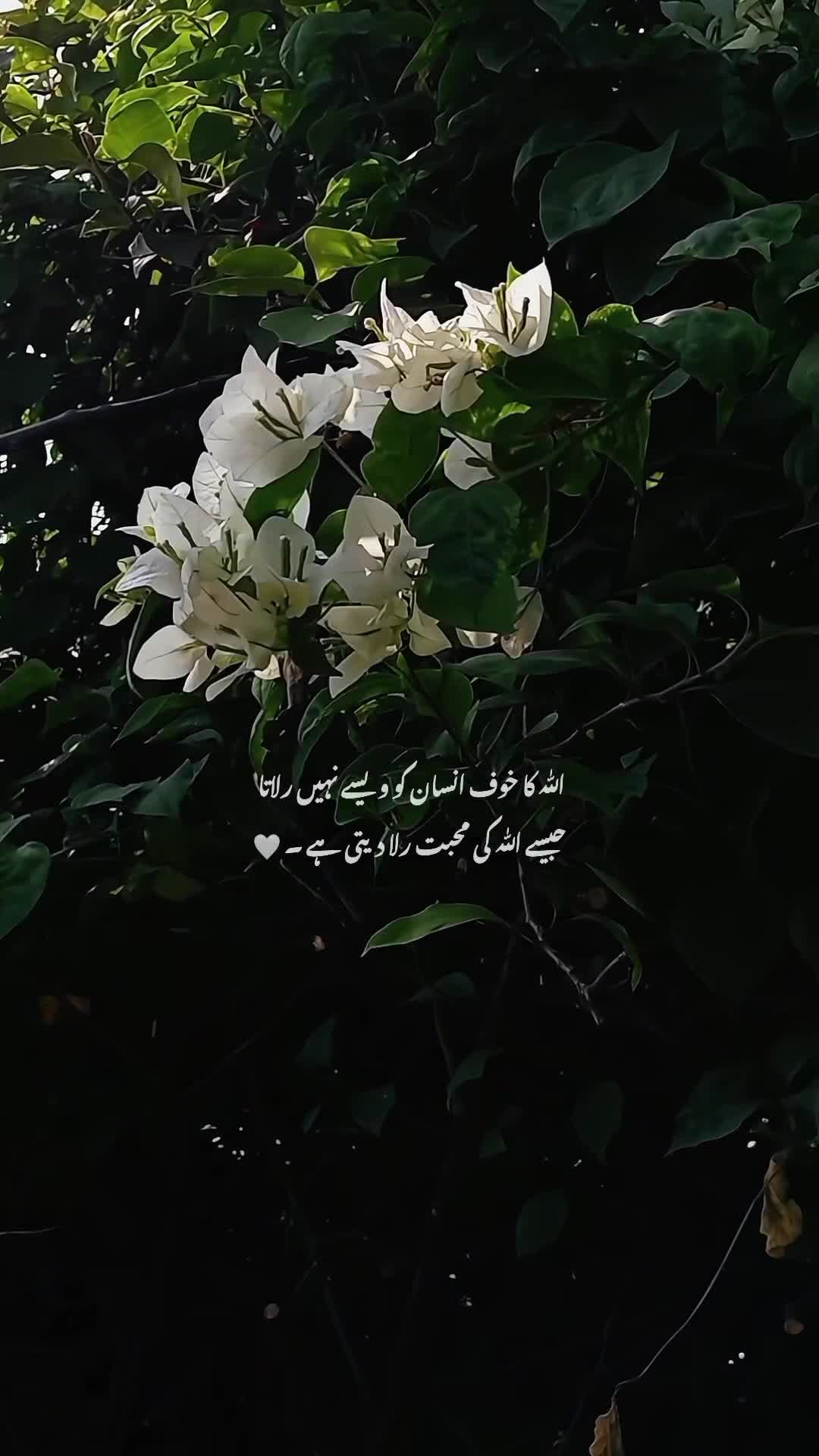 @- 💔