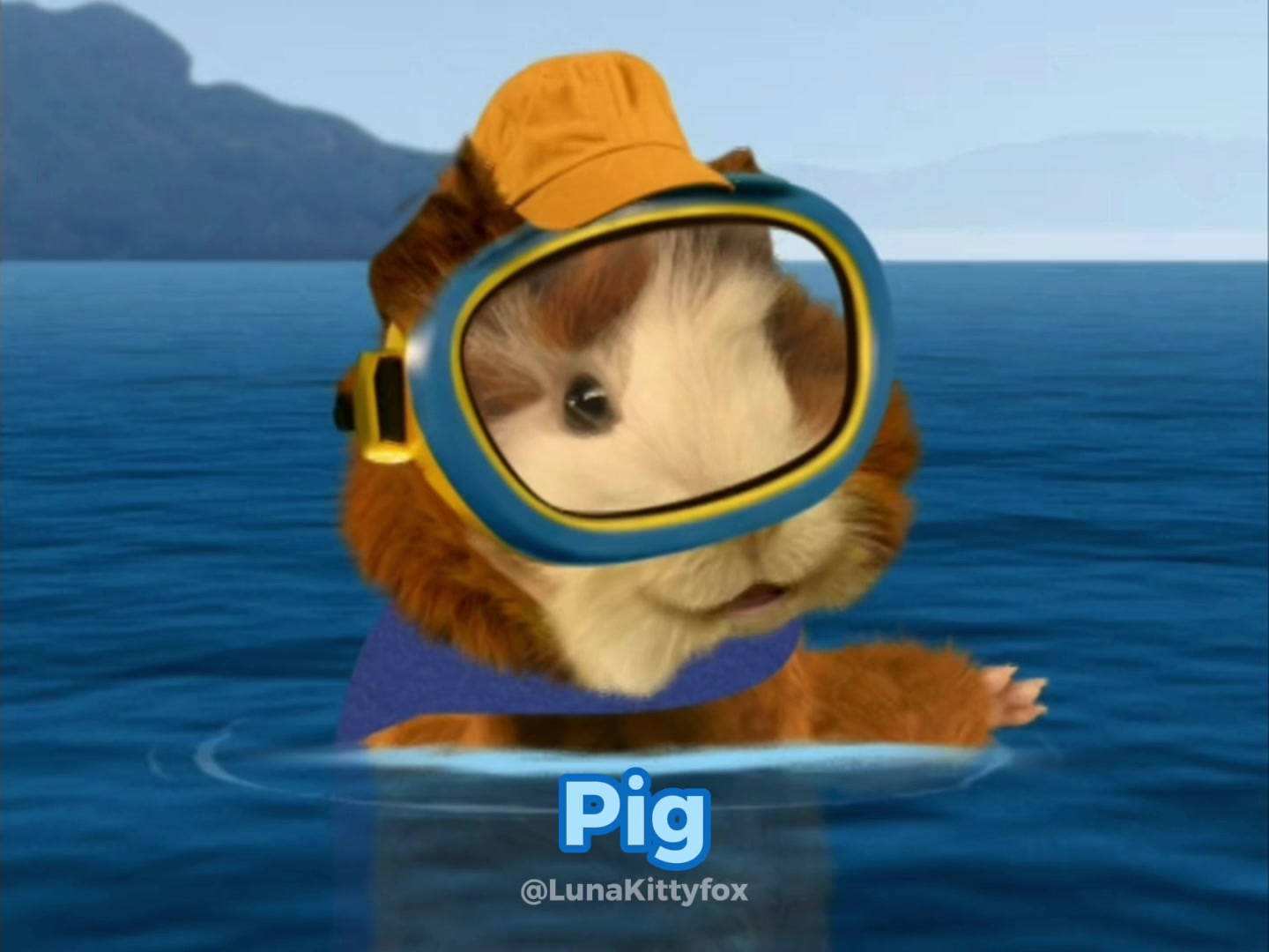 @The REAL LunaKittyfox