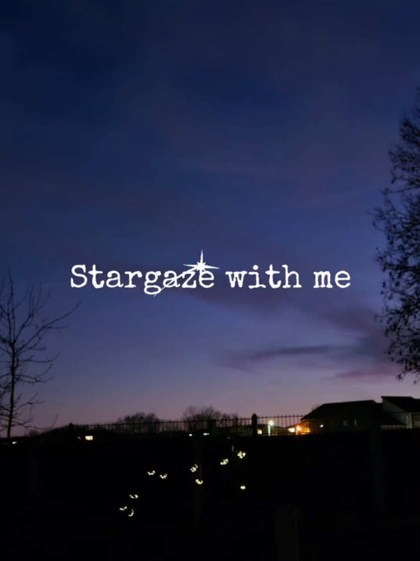 @☾･｡ﾟ☆:.M.:☆ﾟ.☽