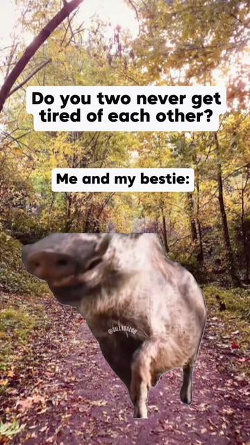 @ItsLotte🤍