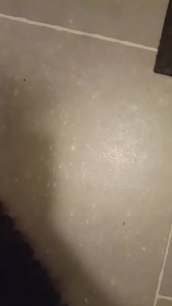 @Abram_RS