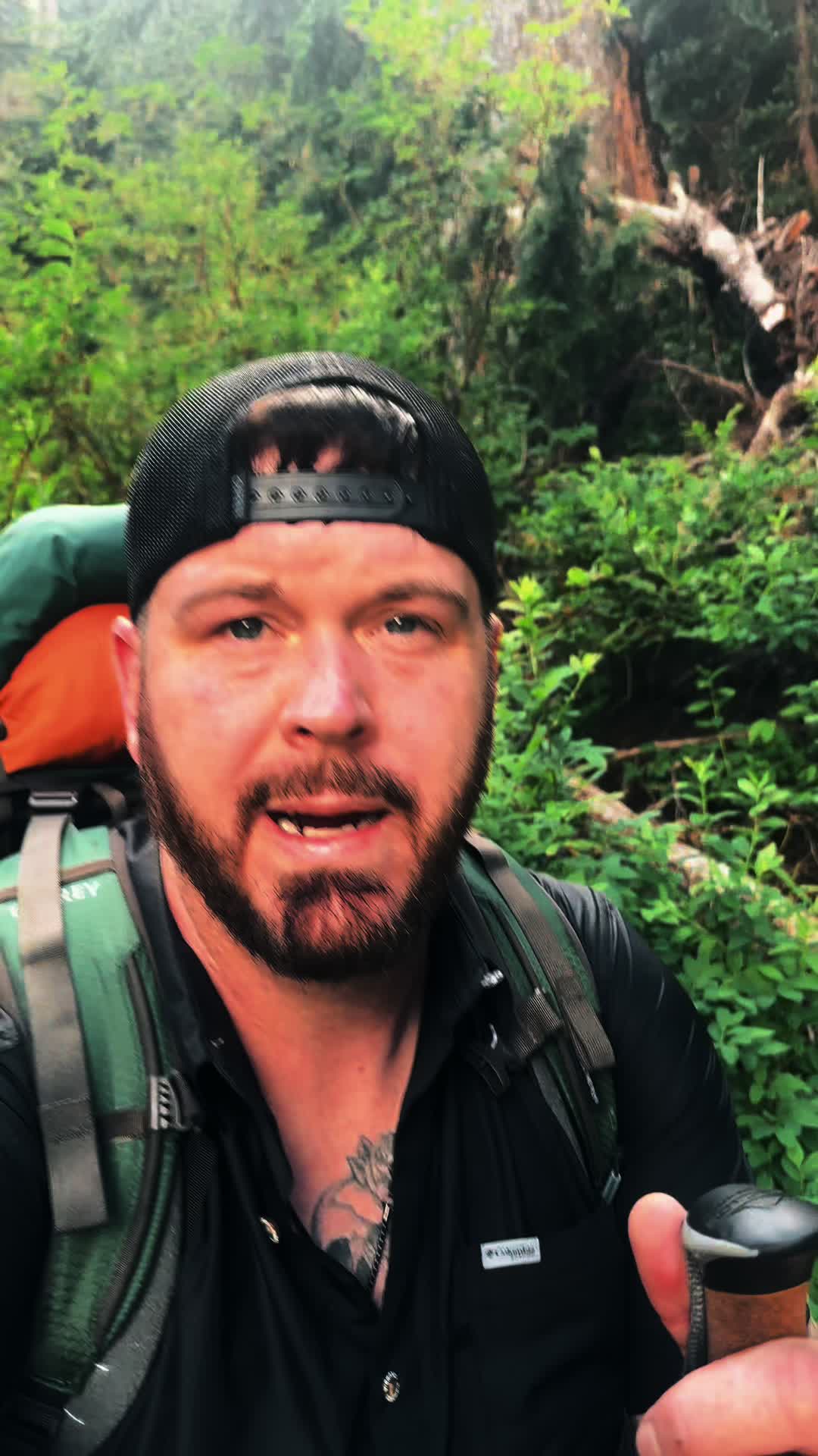 @🌲 James | WA 🏔️