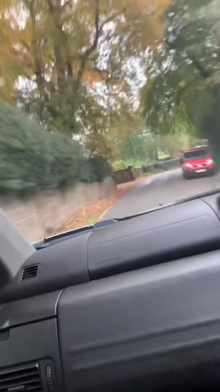 @marshkyle44👻