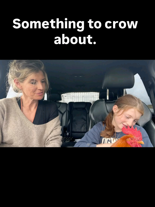 @Amanda Owen