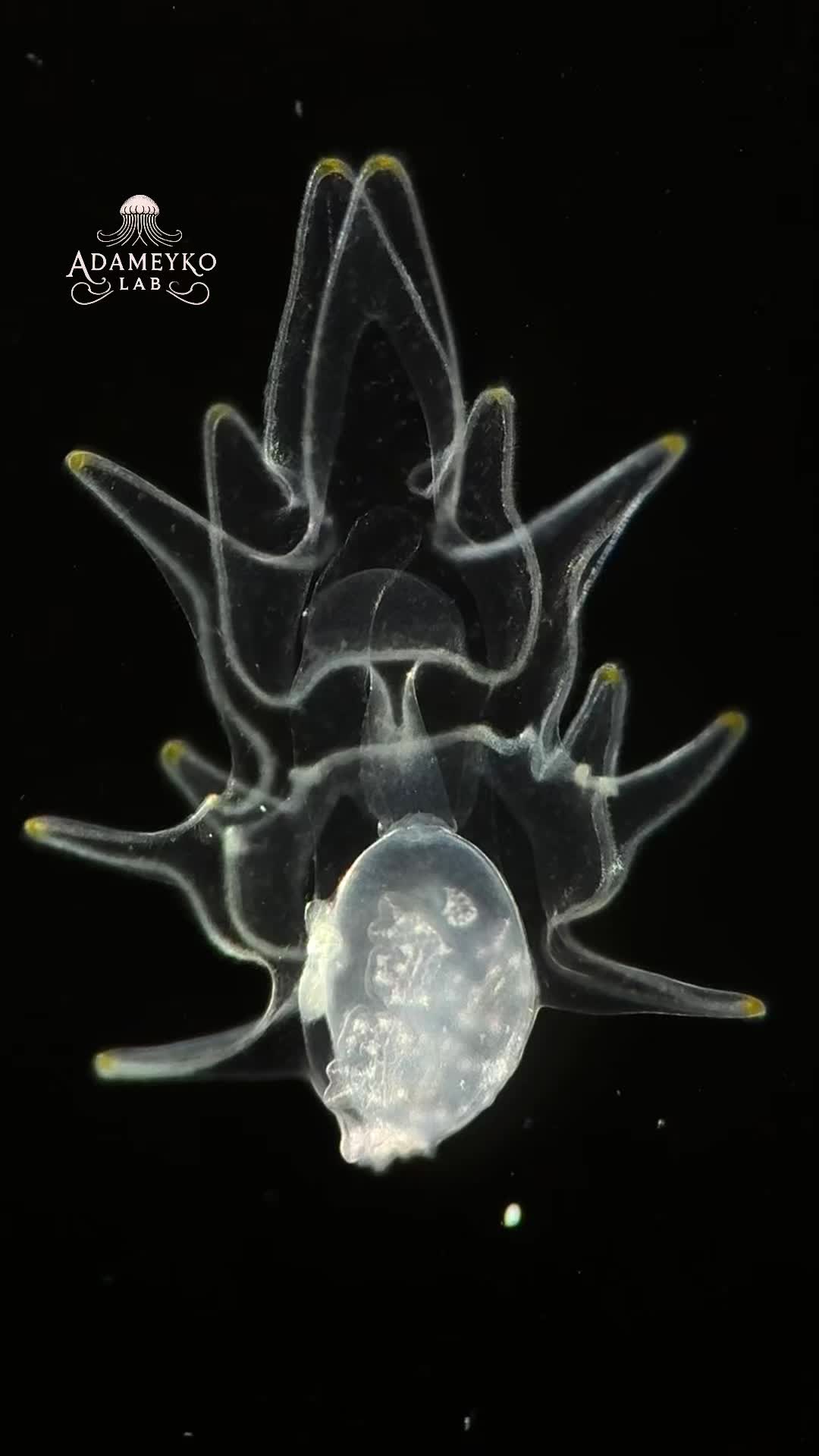 @The_story_of_a_biologist