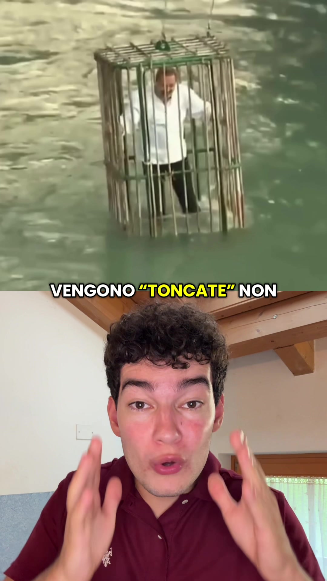@Diego Fusina