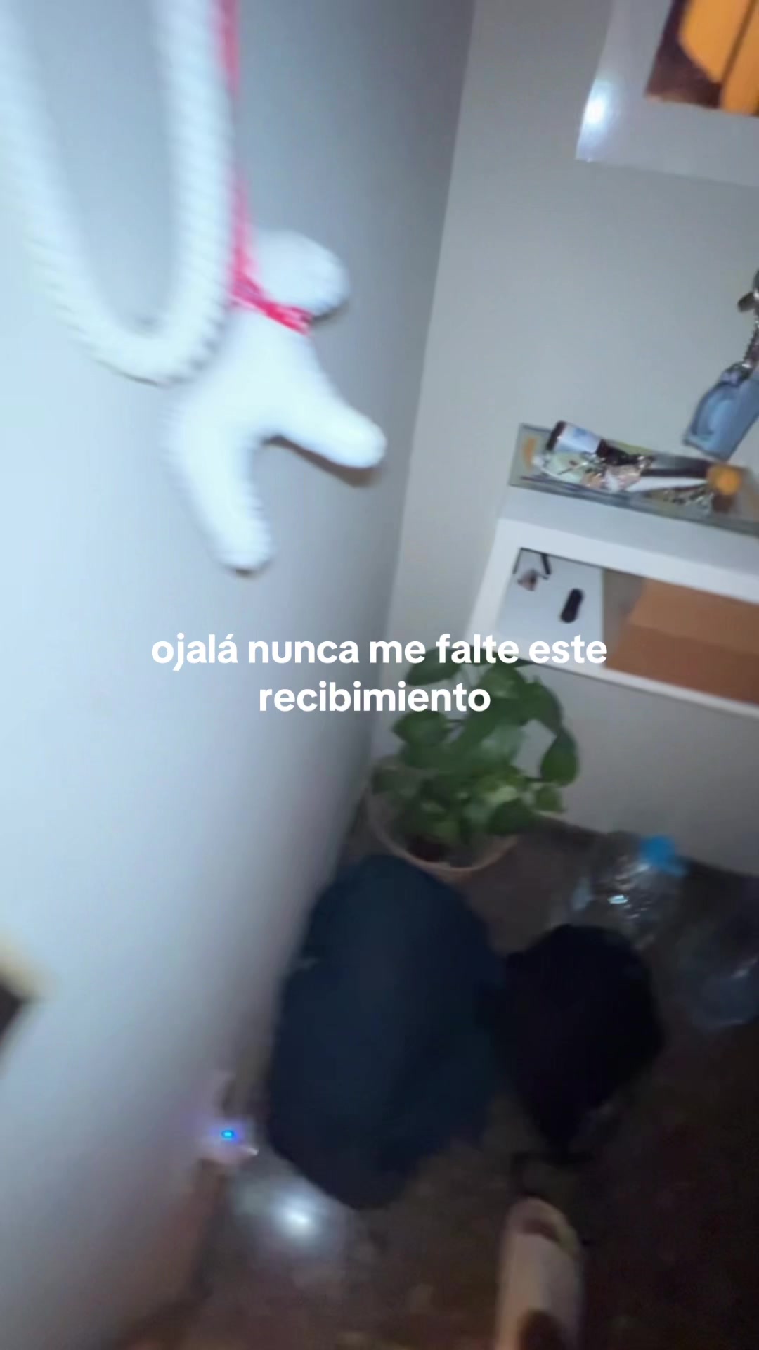@veramoles