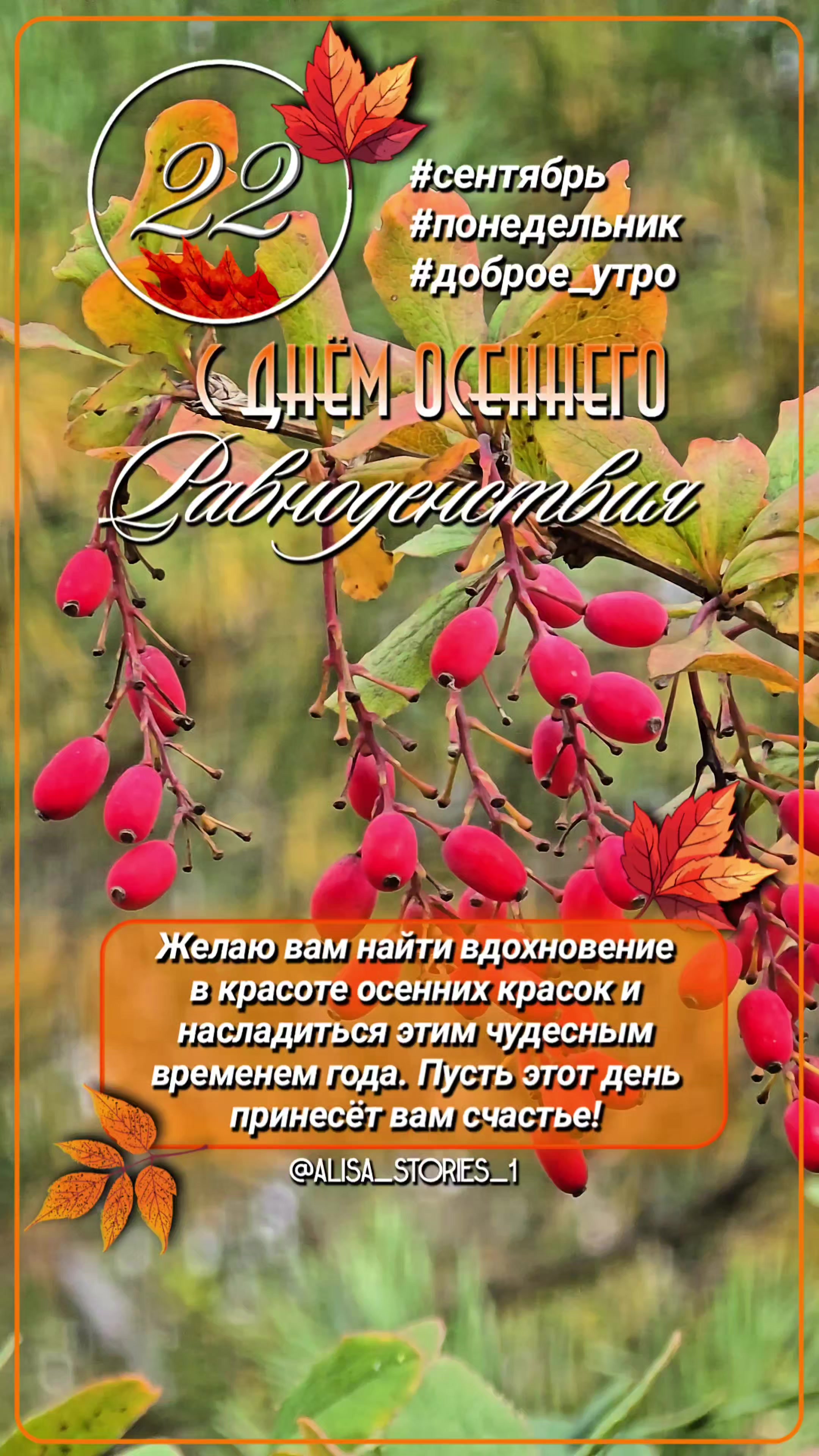 @ТГК:alisa_stories_1