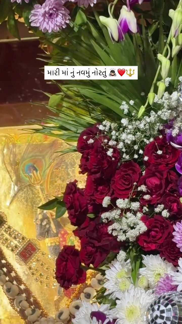 @JAY MATAJI ๐๐ป๐๐ป๐๐ป