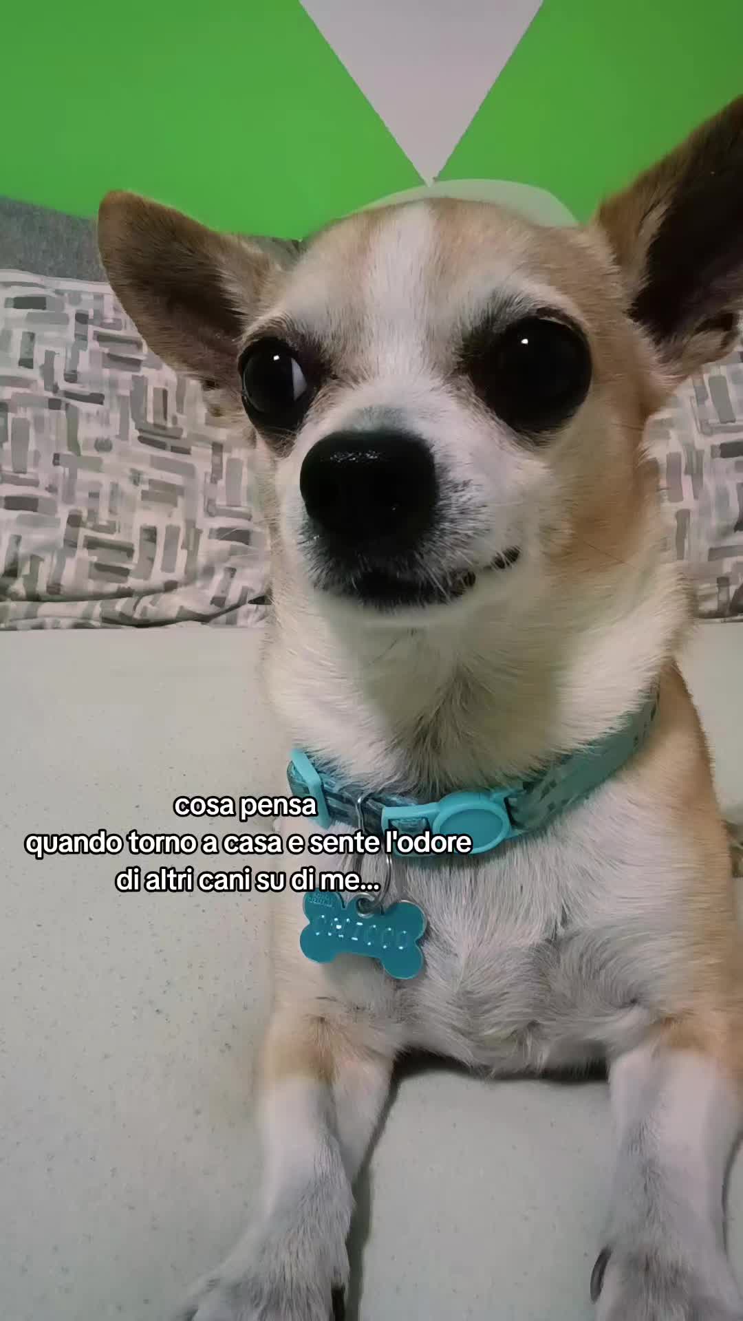 @💖 ɐɔıssǝſ 💖