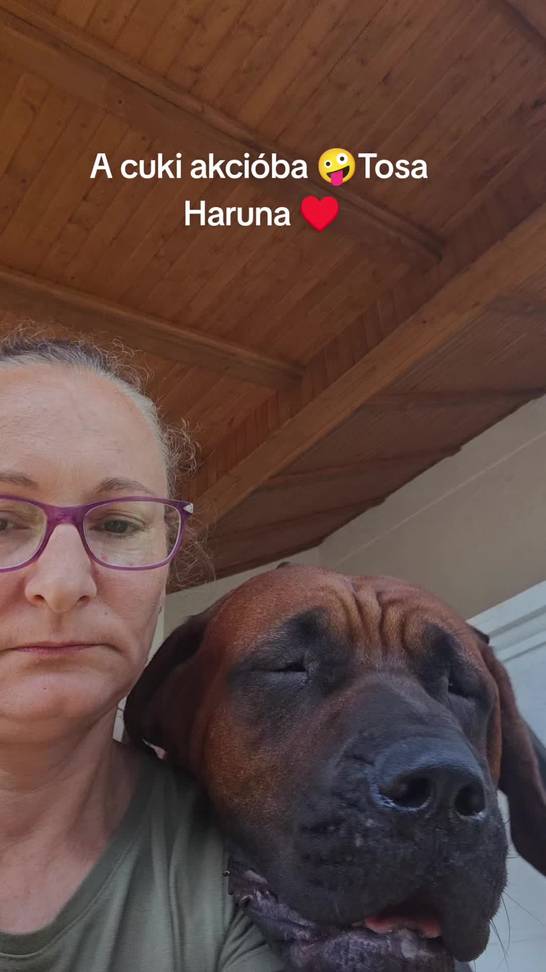 @Spirit of Asia Kennel