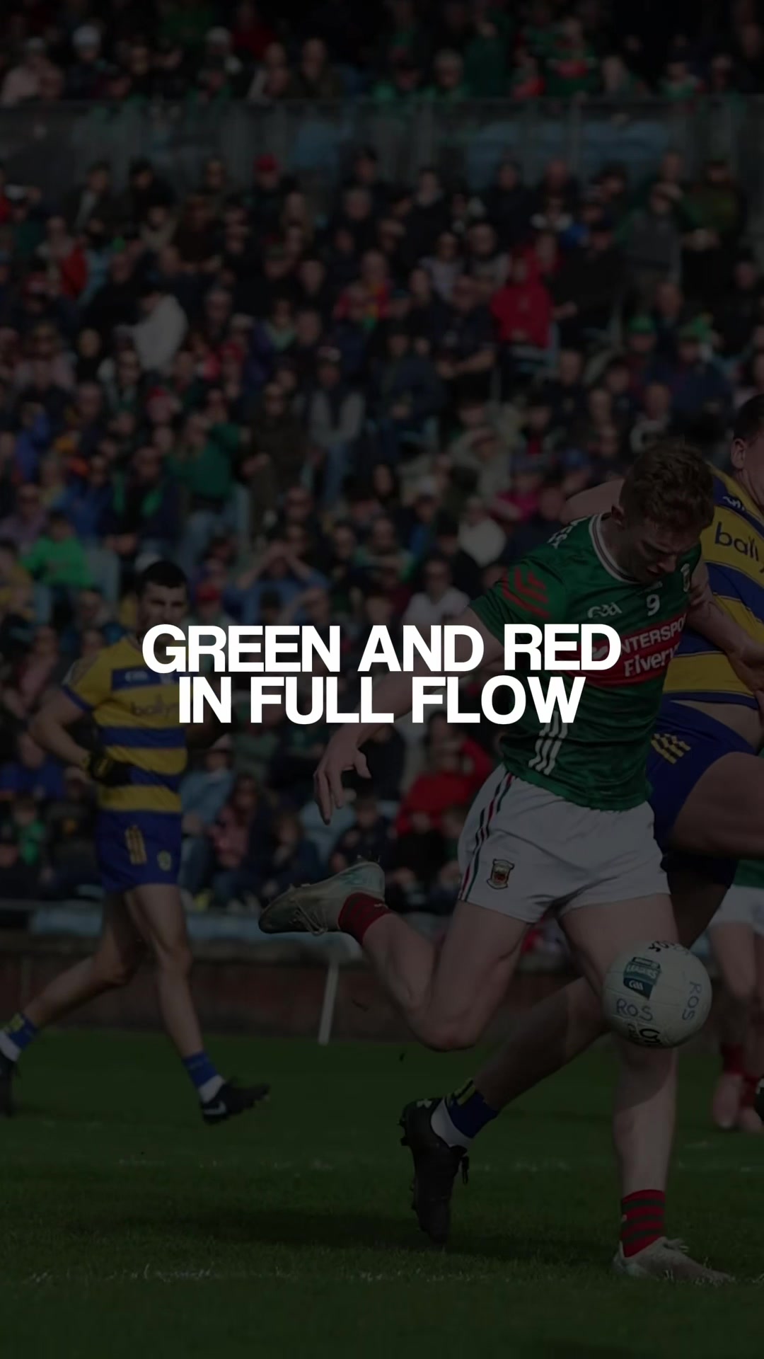 @MayoGAA