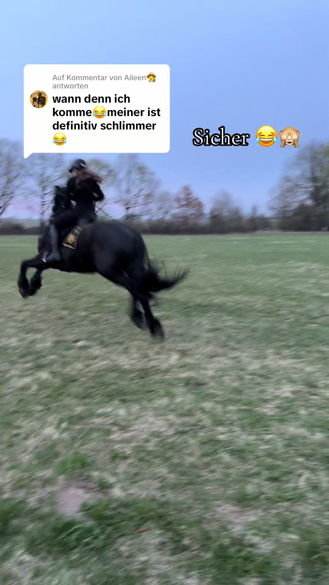 @Horses