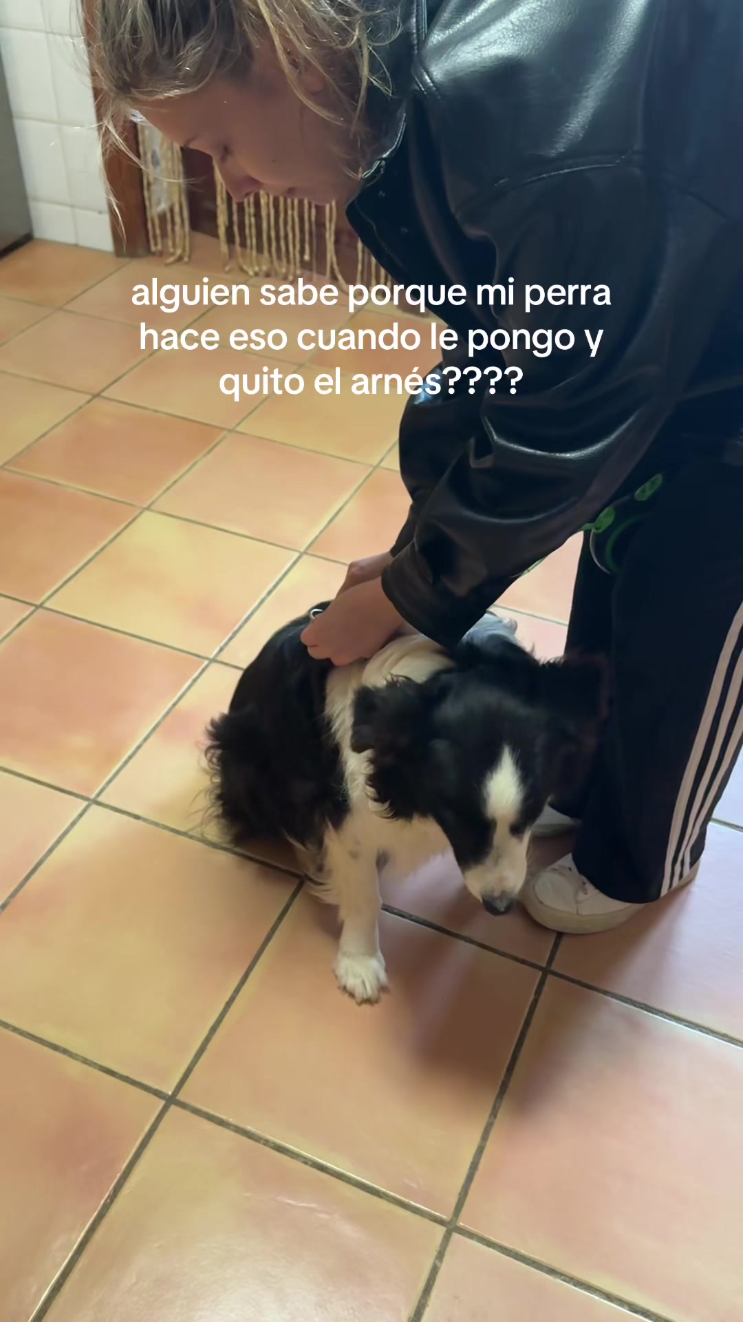 @mariardz