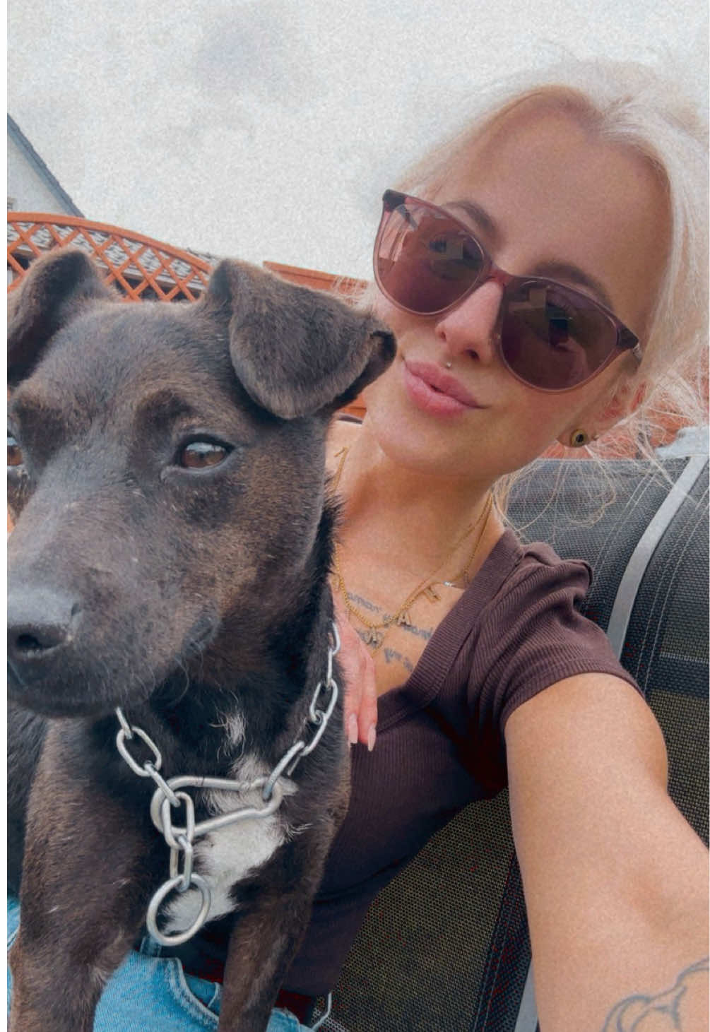 @miri_und_die_terrier