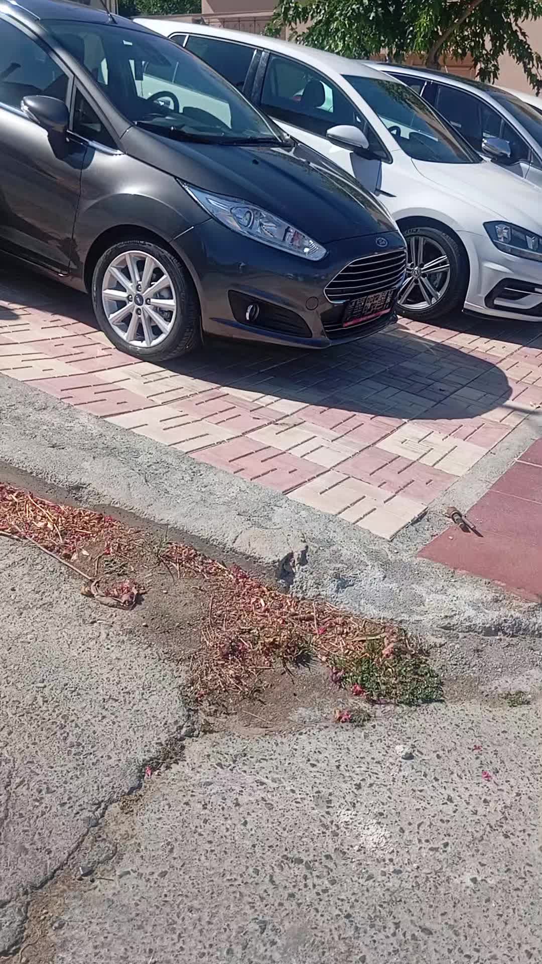 @&Epsilon;&rho;&gamma;&alpha;&sigma;ί&epsilon;&sigmaf; &pi;ά&nu;&tau;&omega;&sigmaf; &tau;ύ&pi;&omicron;&upsilon;