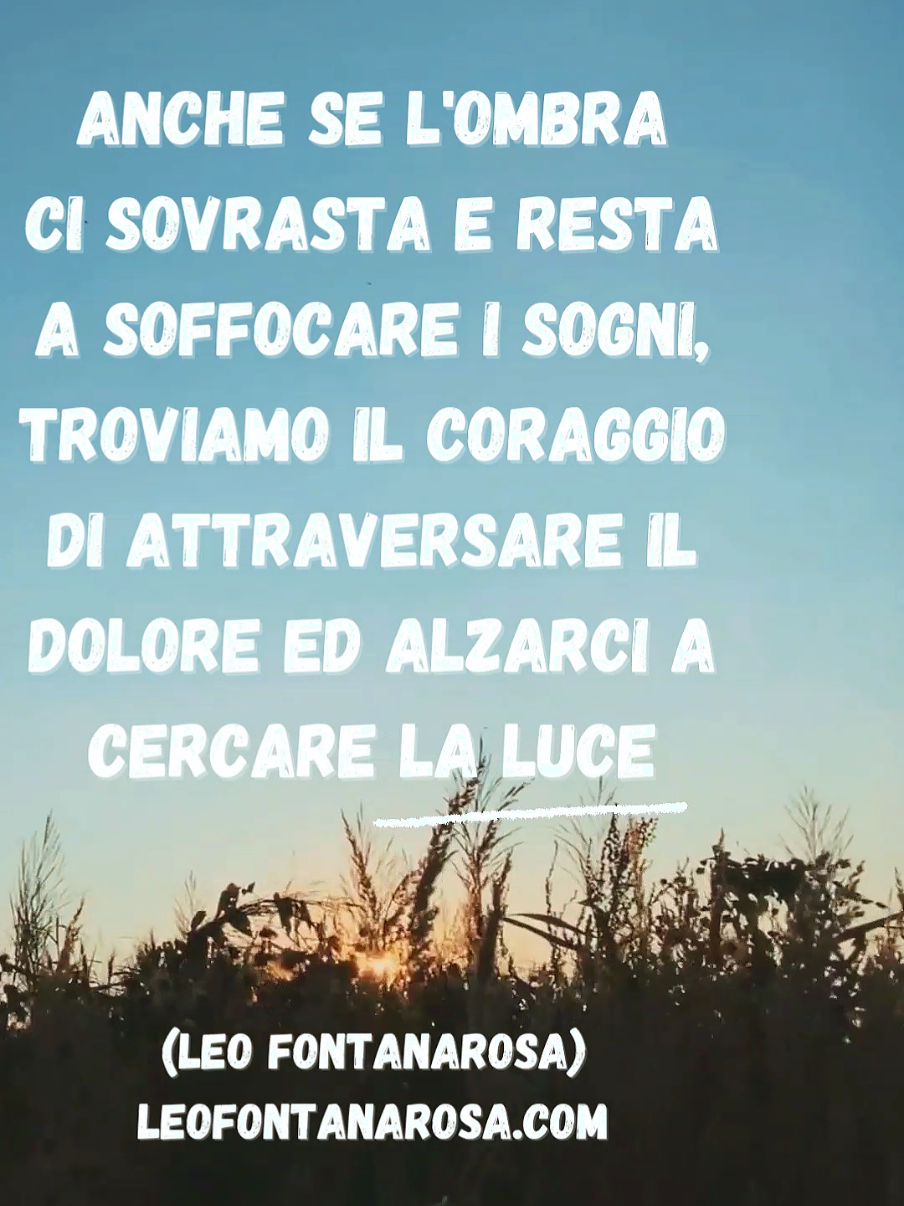 @Leo Fontanarosa
