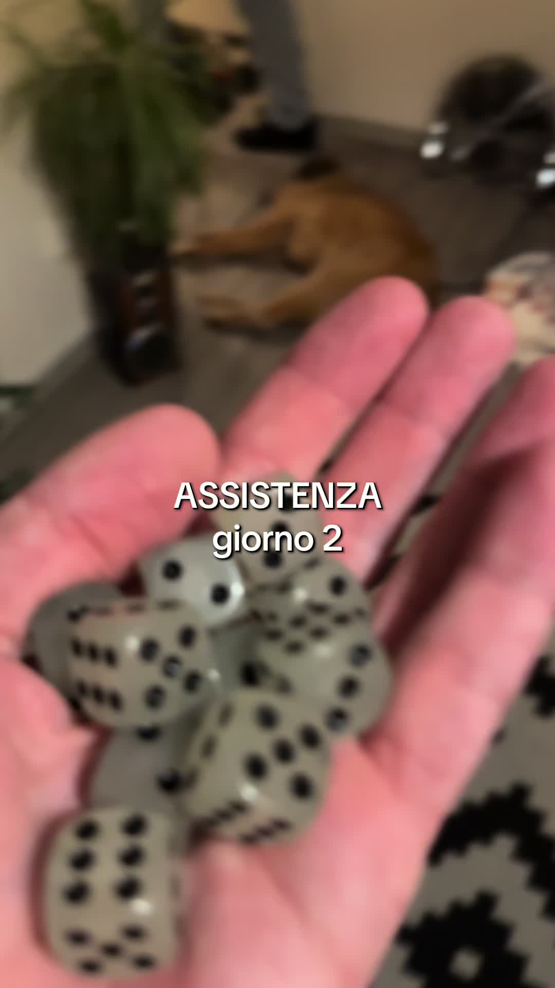 @HelveziaMonAmour