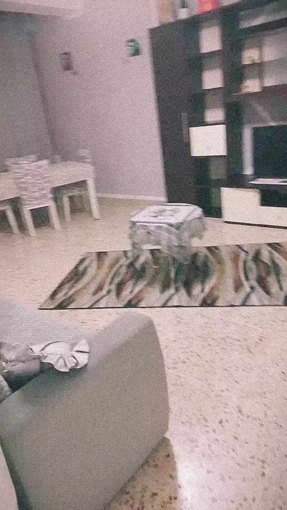 @Cint&uacute;🐍