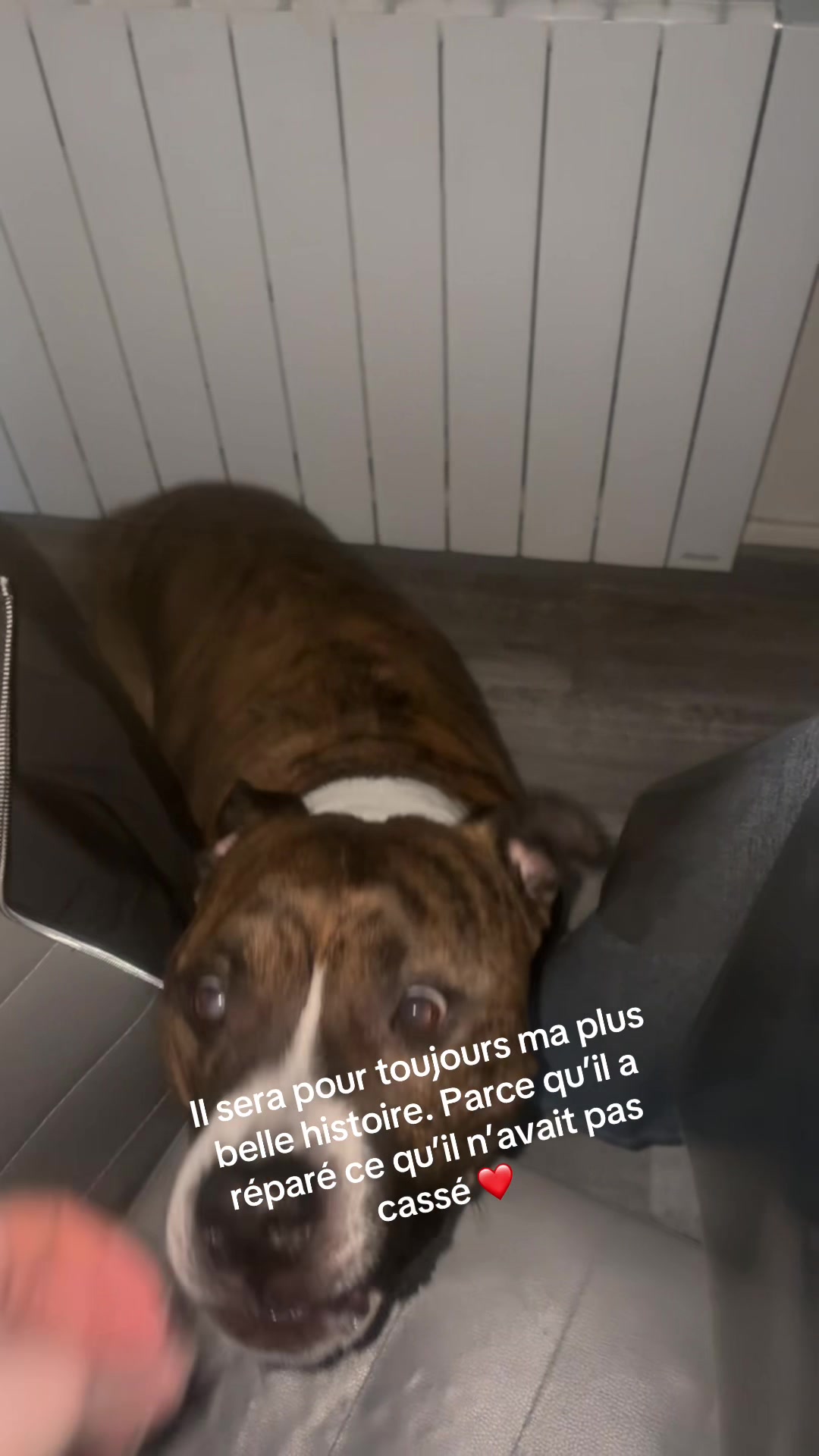 @Mélanie 🦔