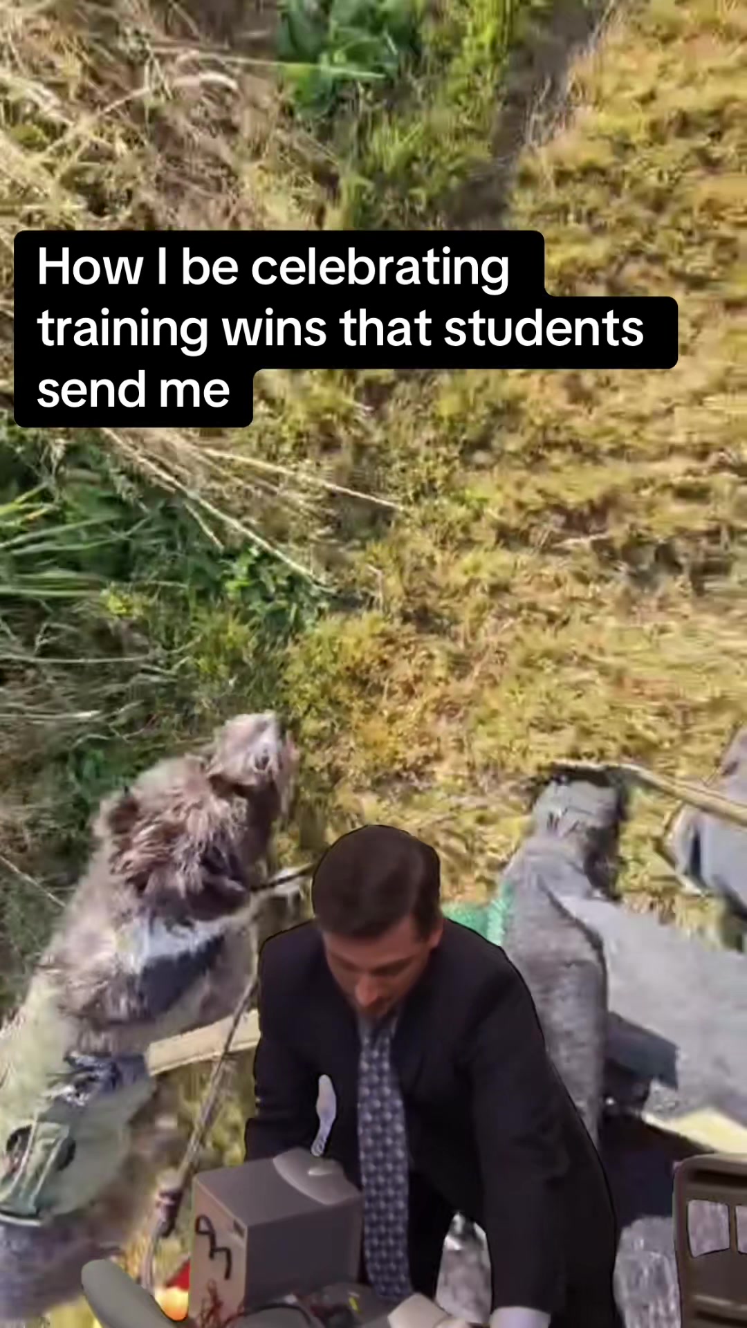 @Valleys Dog Training