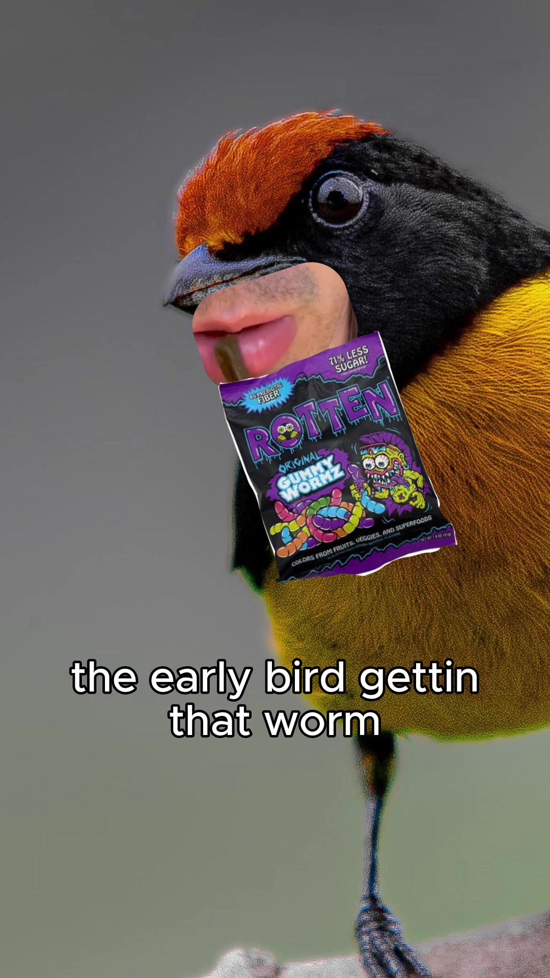 @Rotten Candy