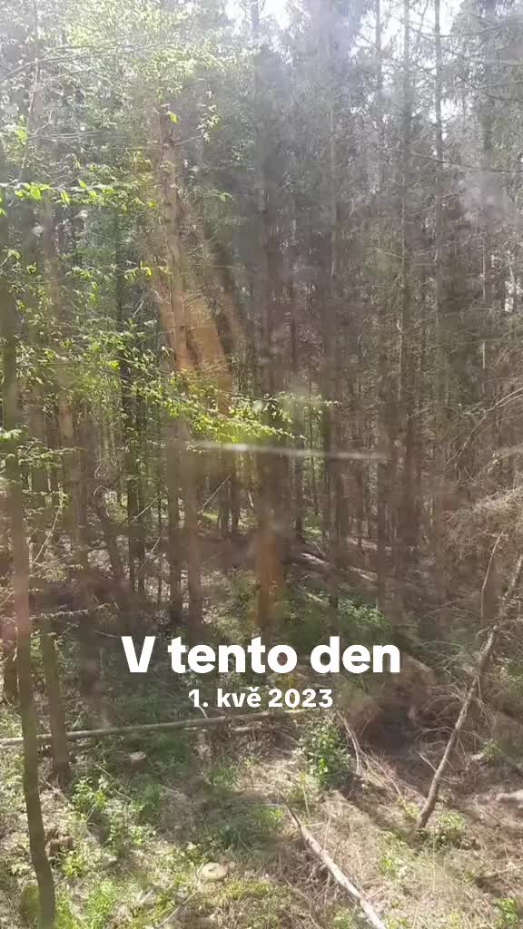 @🌲🌲Prosťě Fidla🤷♂️🤷♂️🌲🌲