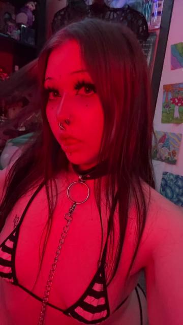 @kat¡e ⋆🐾🦴˚